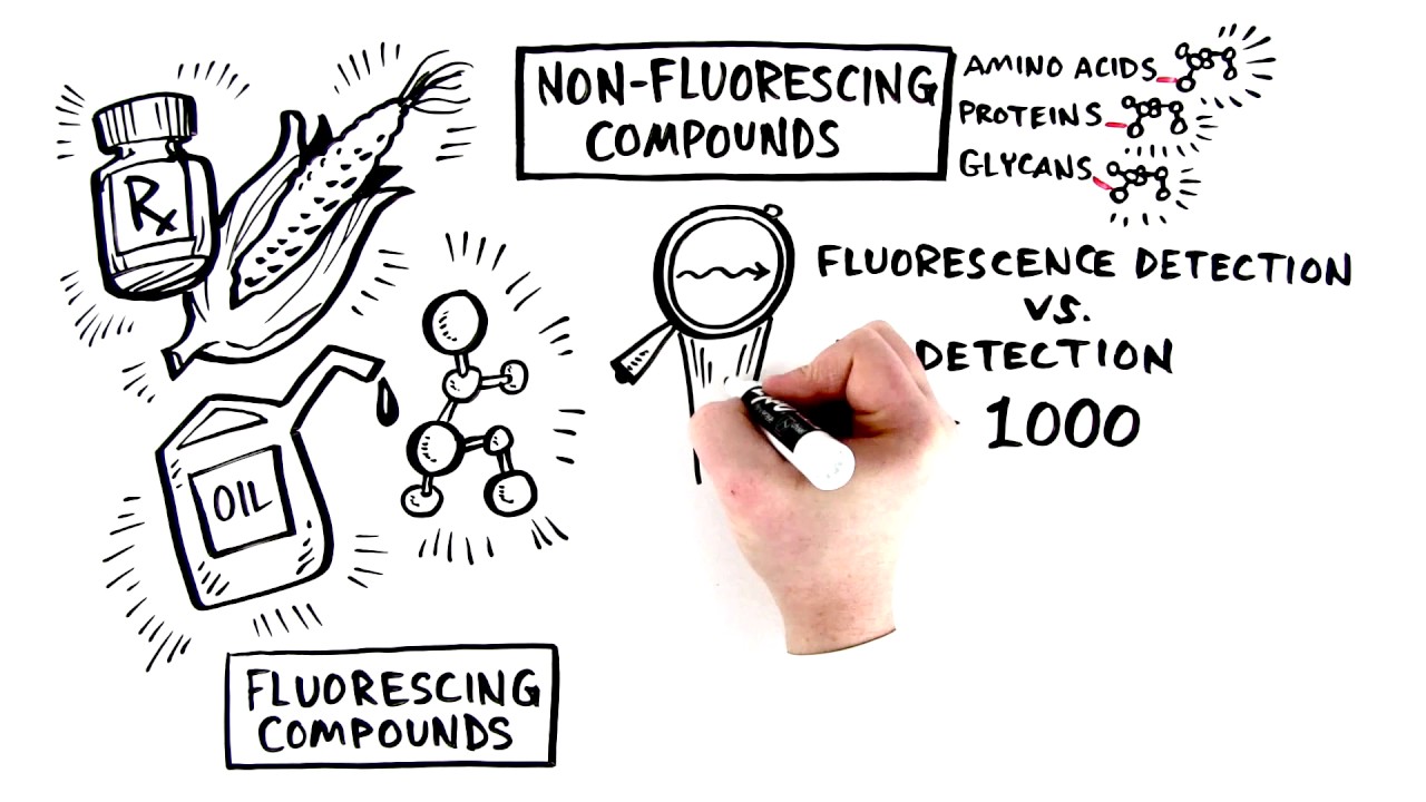 Fluorescence Detection for HPLC