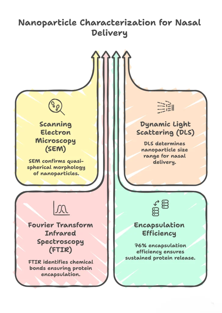 Nasal DDS (webp) Nanoparticle Characterization
