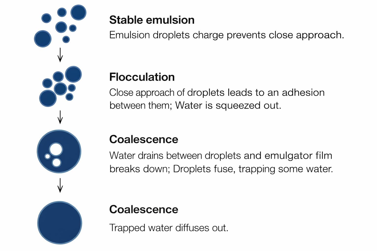 Emulsion Flocculation (Aggregation) and Coalescence