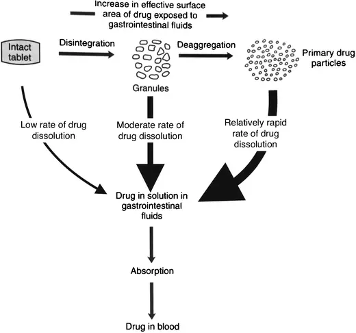 Mechanism of disintegrates 