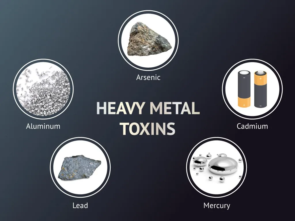 Heavy Metals