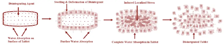 MECHANISM OF DISINTEGRANTS 
