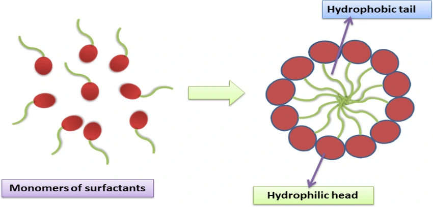 Diagrammatic representation of the micelle formation above CMC by surfactant molecules