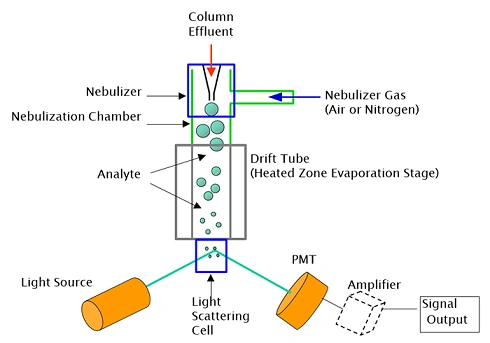 Diagram for the Evaporative Light Scattering detector