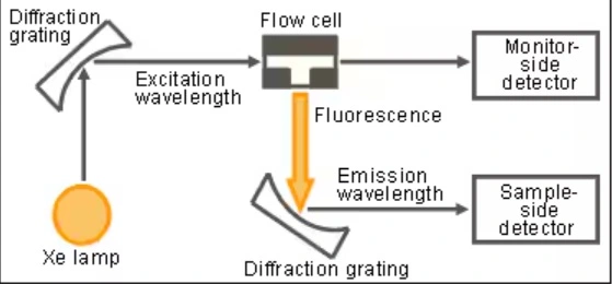 Diagram of Fluorescence detector system