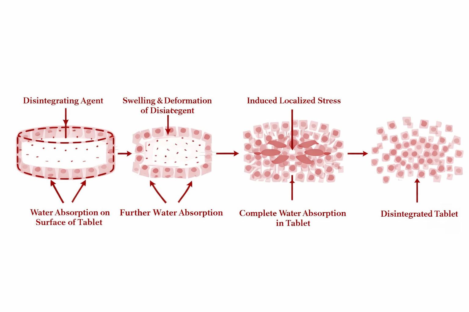 Mechanism of Disintegrants-1
