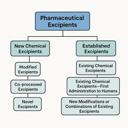 The diagram classifies pharmaceutical excipients into new and established types