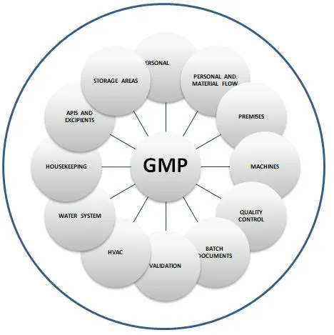 Principles of GMP Principles of GMP