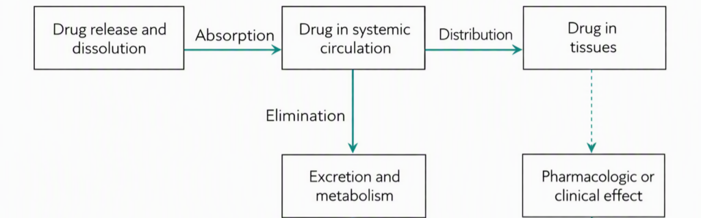 The Drug Journey From Administration to Action