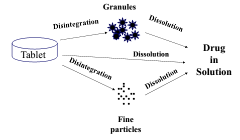 diagram of drug dissolution process sequence