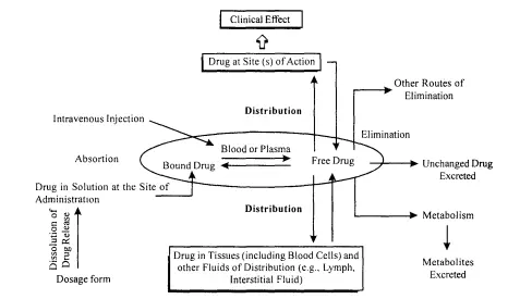 factors affecting concentrtion of the drug Fig. 2 shows the factors influencing the bioavailability of the drug in blood