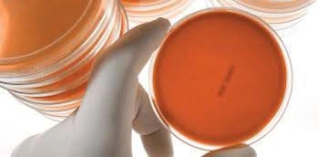 microbiology contamination control and role of microbiologist