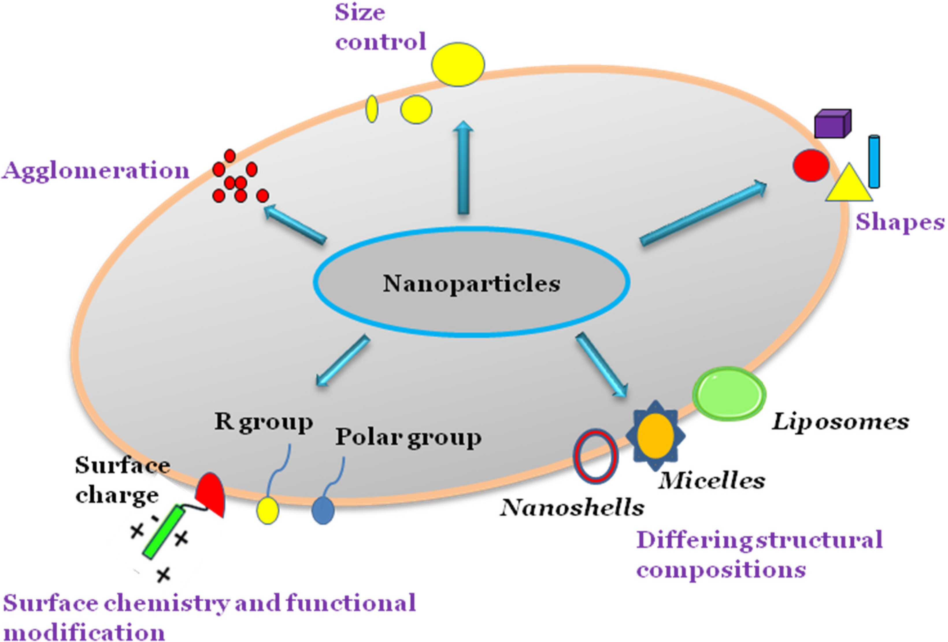 Common nanoparticles used in drug delivery