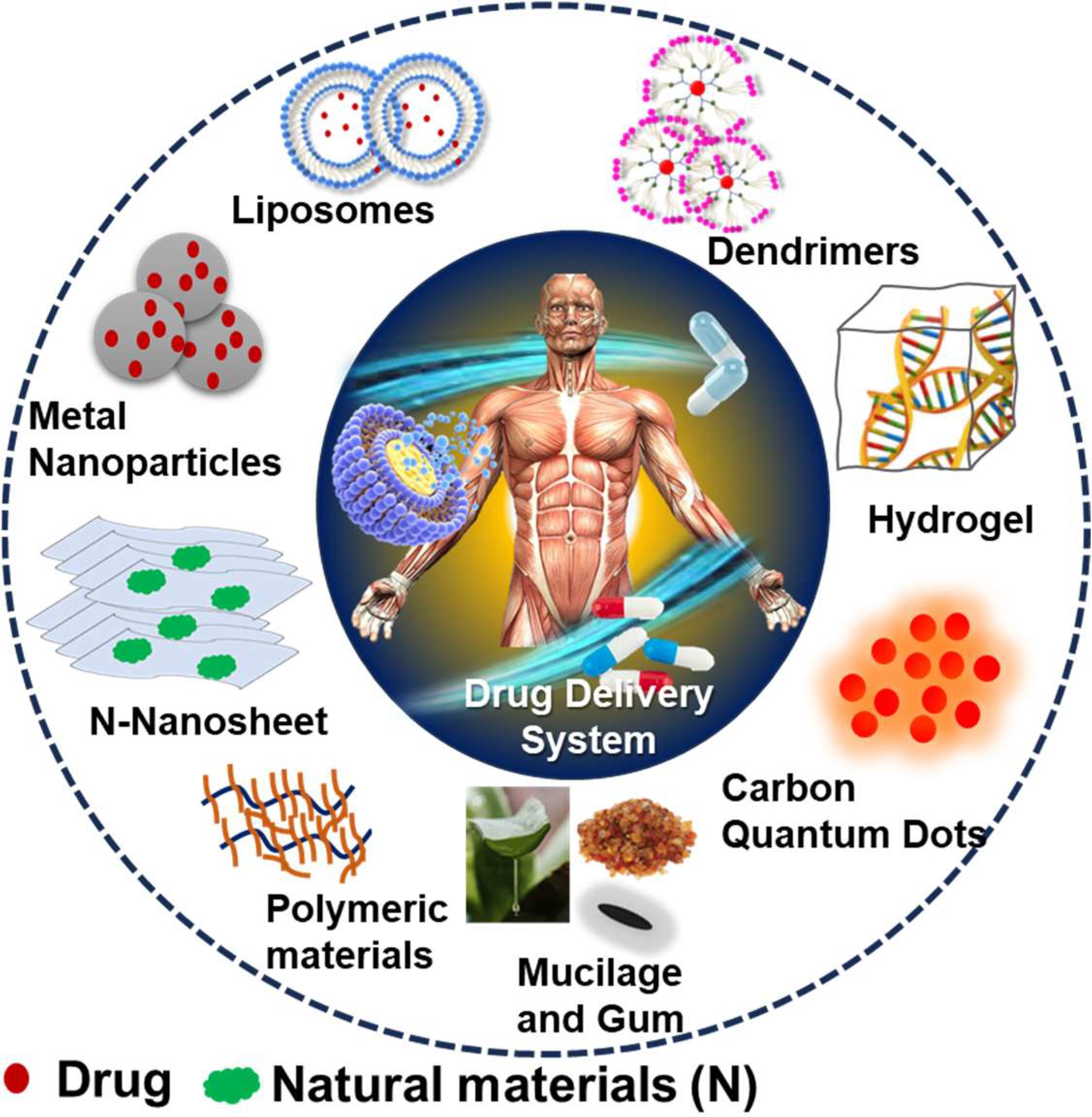 Drug Delivery Application of Functional Nanomaterials