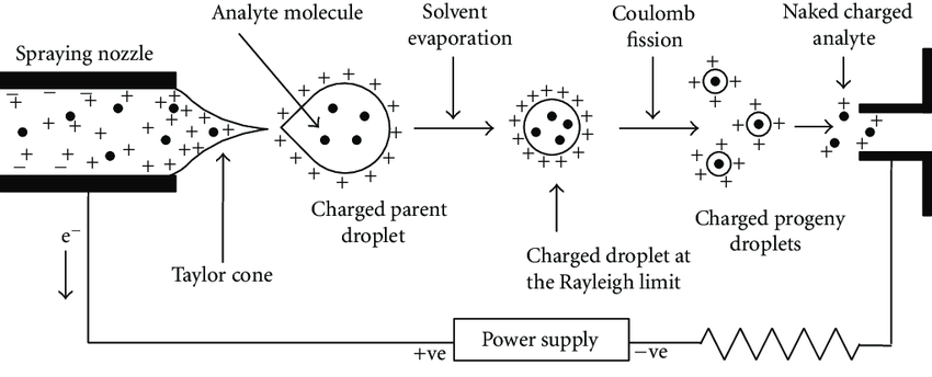 ESI Electrospray Ionization diagram