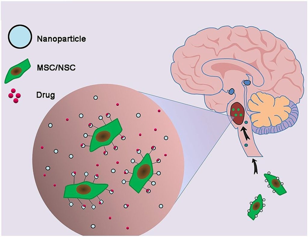 Mechanisms of Nanoparticle-based Drug Delivery