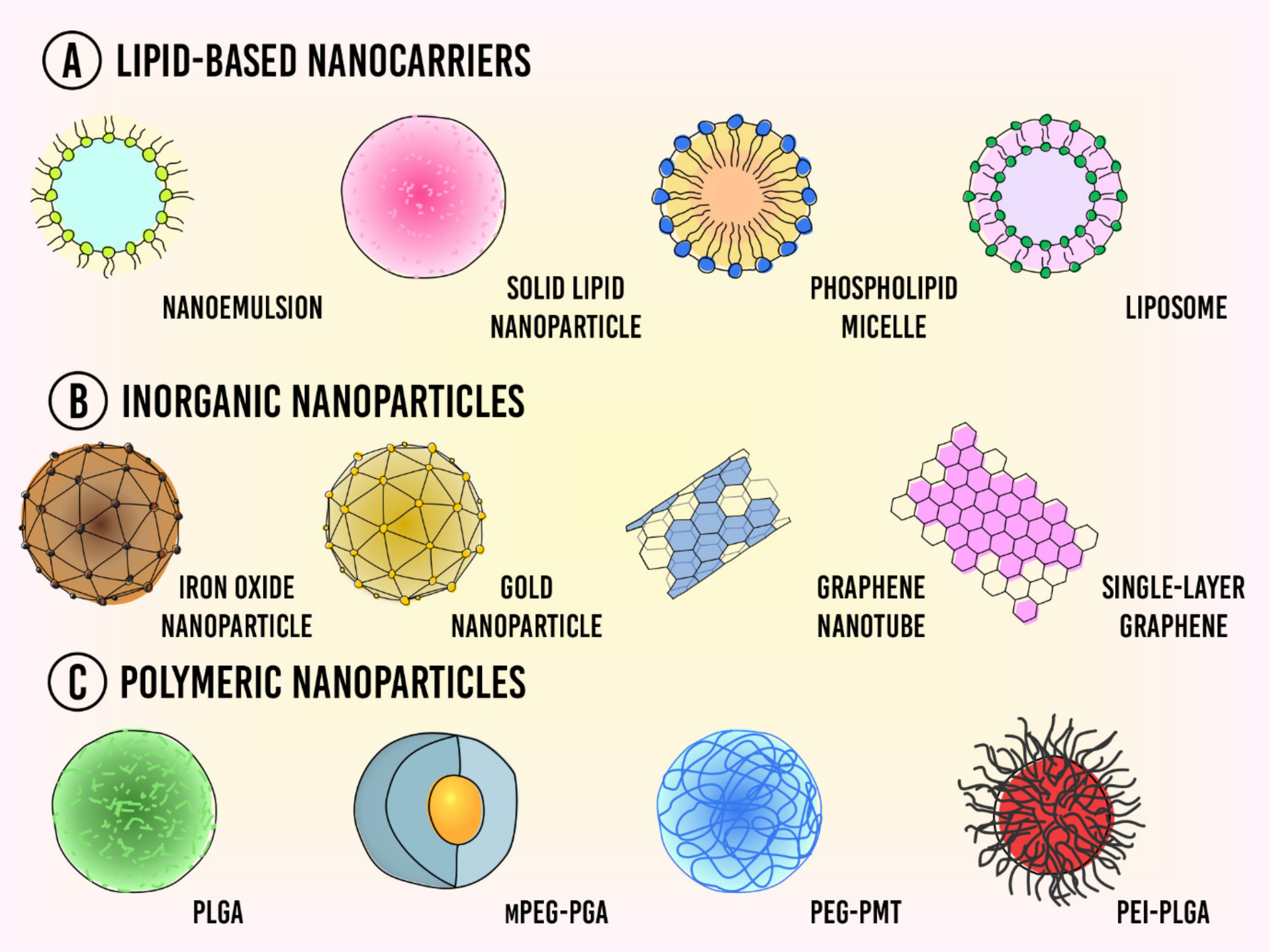 Nanocarriers