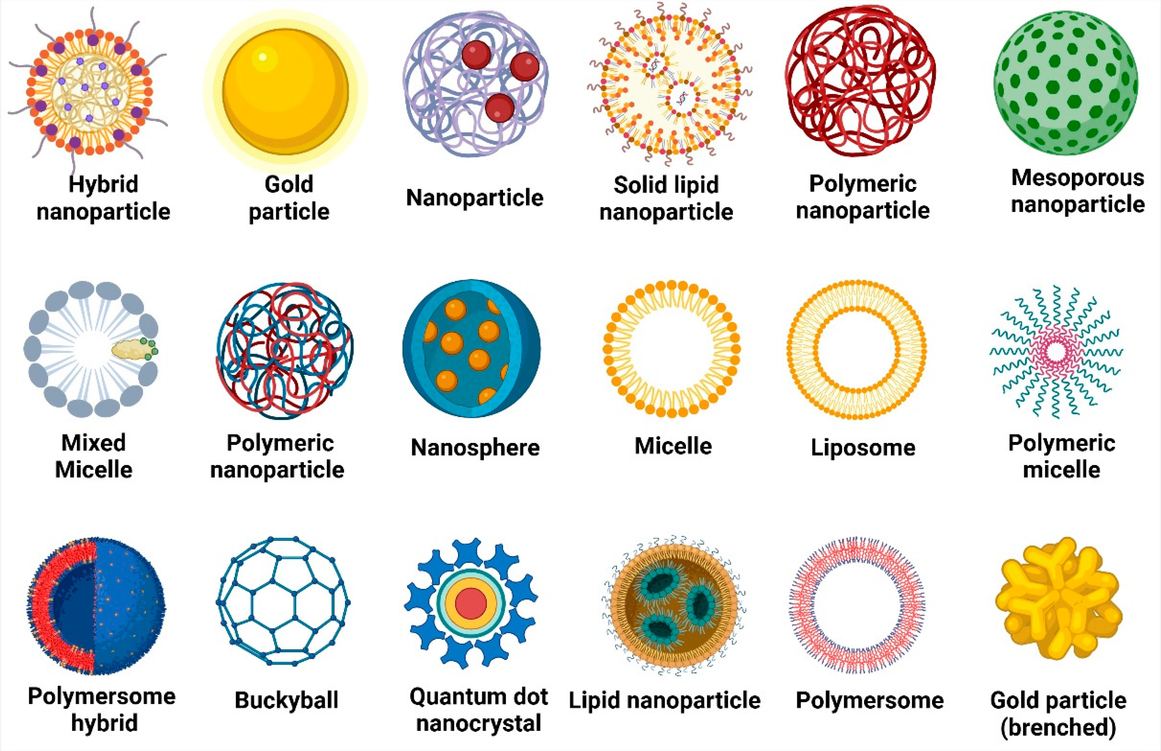 Progress in Drug Delivery Systems Based on Nanoparticles