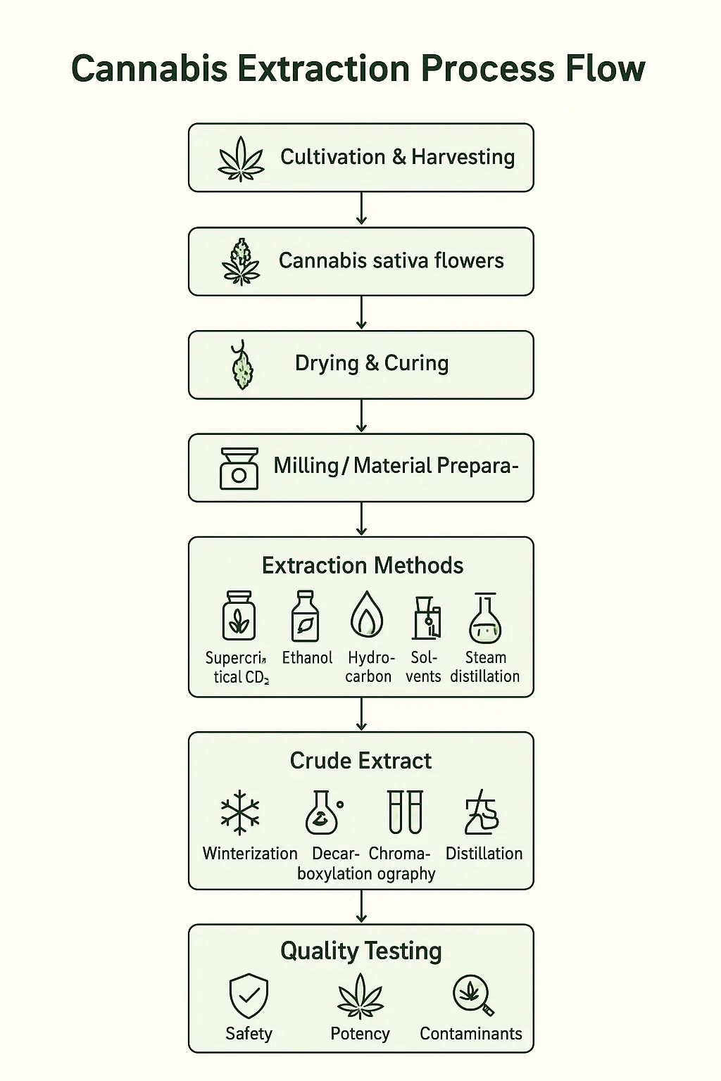 Cannabis extraction flow chart