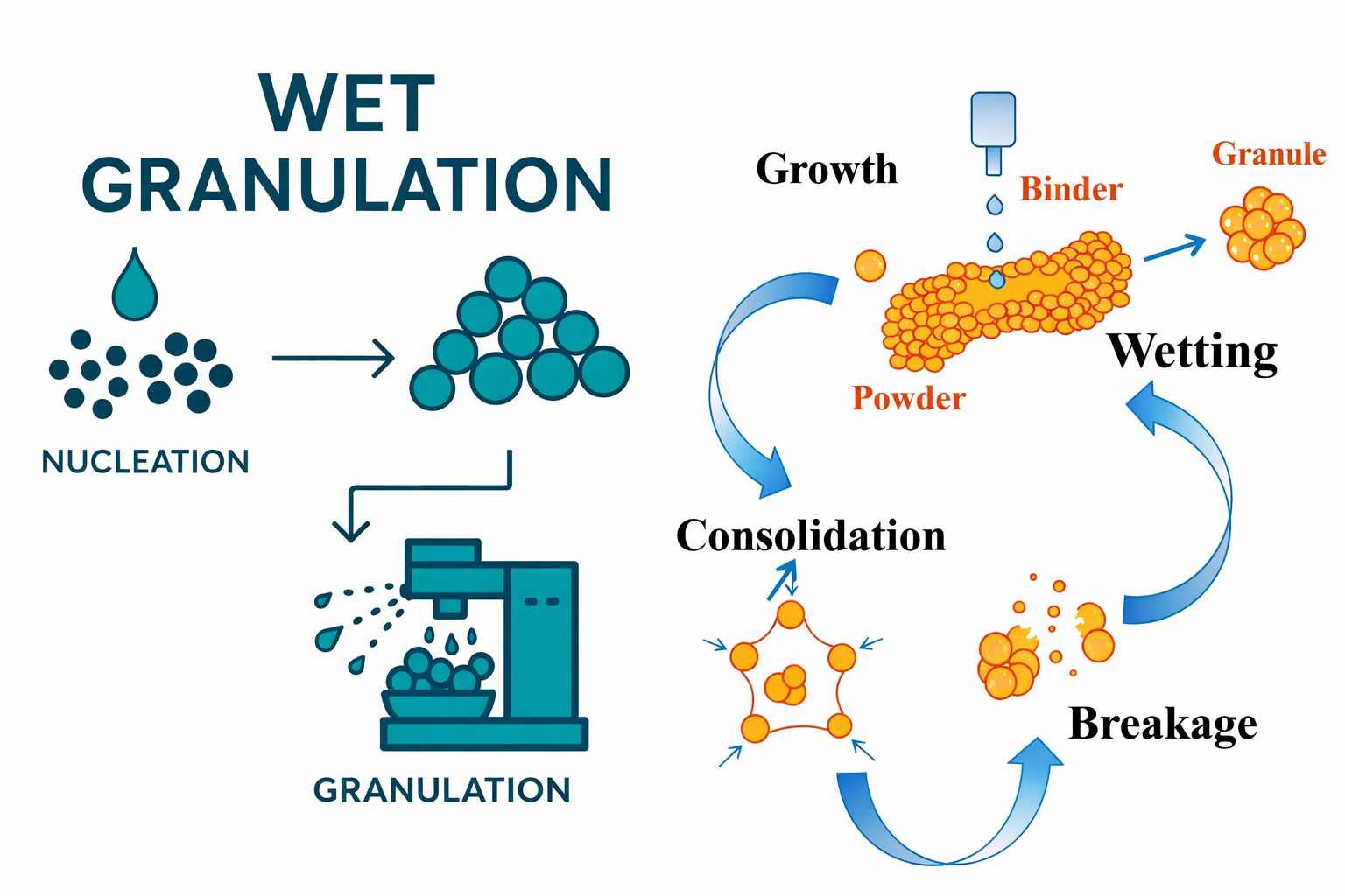 Wet granulation mechanisms