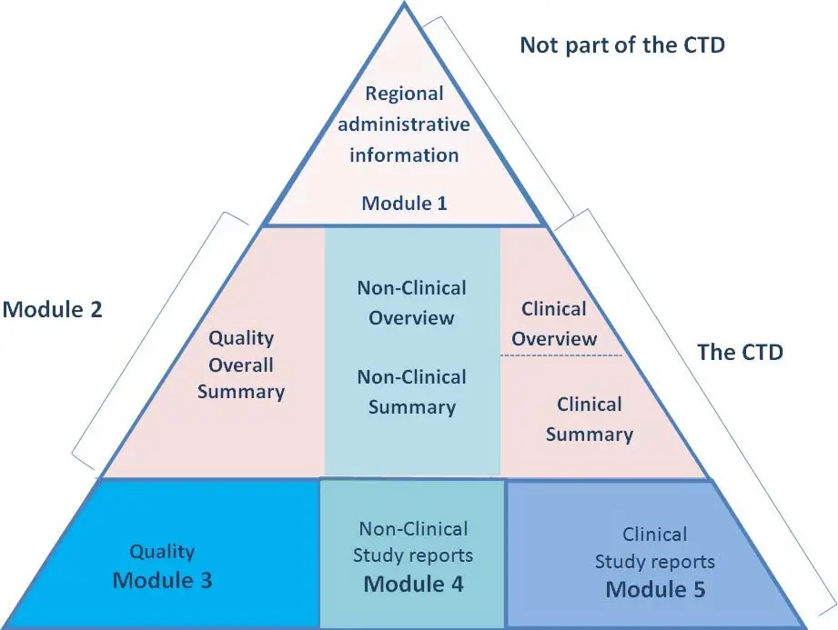 CTD Structure