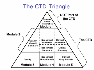 CTD-triangle CTD-triangle
