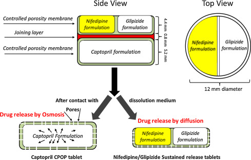 Multi-Layered Tablet for Controlled Release: A diagram showing a cross-section of a 3D-printed tablet with distinct layers, each engineered for a different drug or release profile