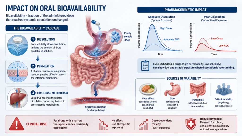 The impact of oral Bioavailability